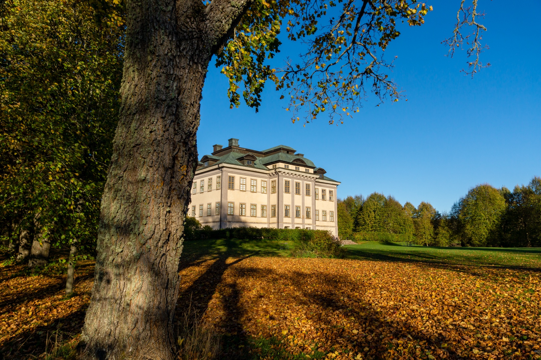 Höstkonsert på Salsta slott